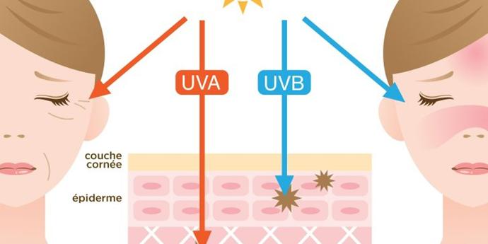 Les rayons UVA responsables du vieillissement prématuré de la peau et les UVB des coups de soleil